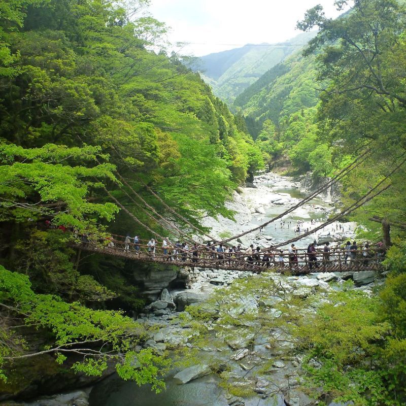 Greater Bay Airlines will launch flights from Hong Kong to Tokushima and Sendai in Japan