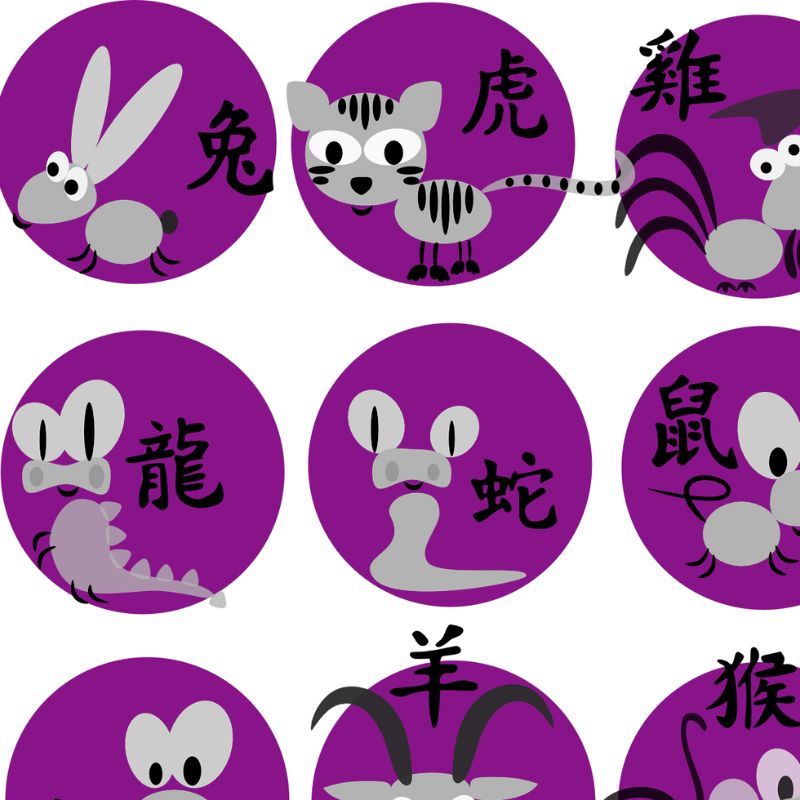 Monthly horoscope for Chinese zodiacs: October 2024 predictions for all the signs