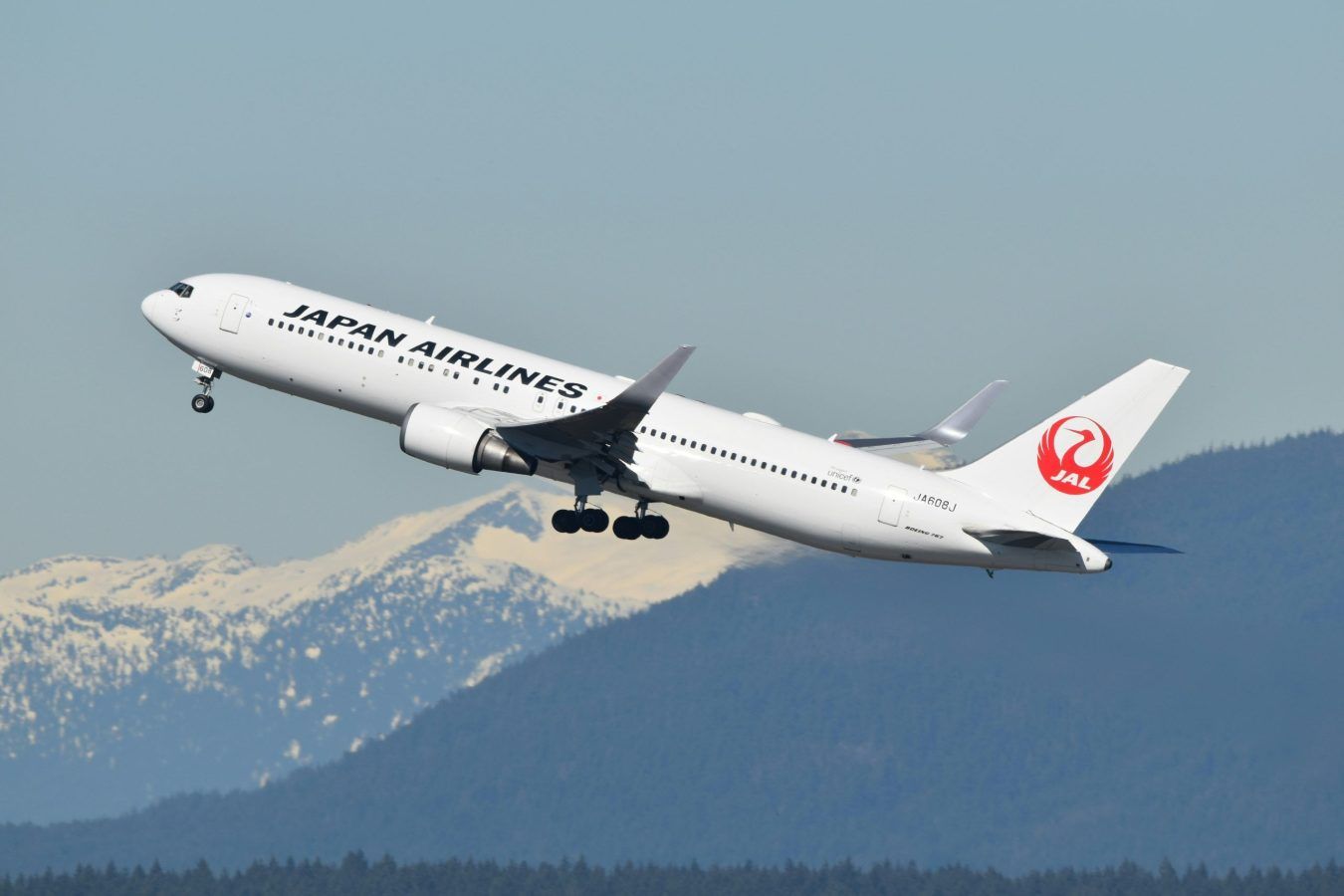 Japan Airlines rolls out free domestic flights for international travellers