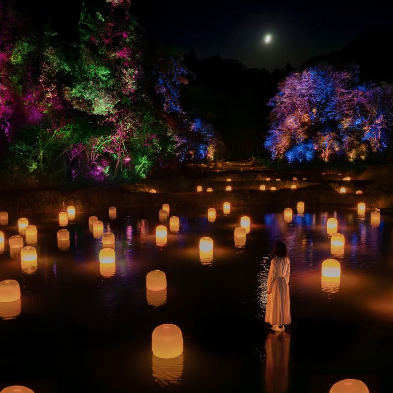 Rice Terraces – Nature meets technology in teamLab’s immersive art installation in Japan