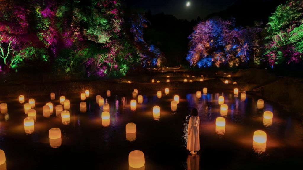 Rice Terraces – Nature meets technology in teamLab’s immersive art installation in Japan