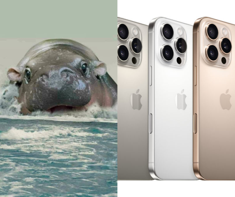 moo deng iphone
