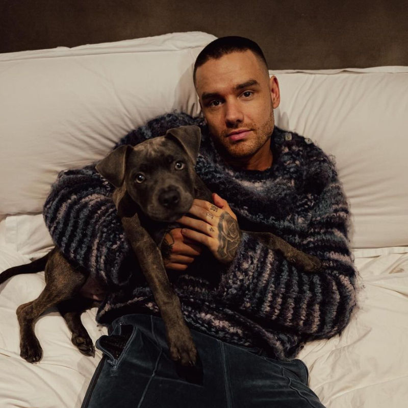 Liam Payne, singer and former One Direction member, dies aged 31