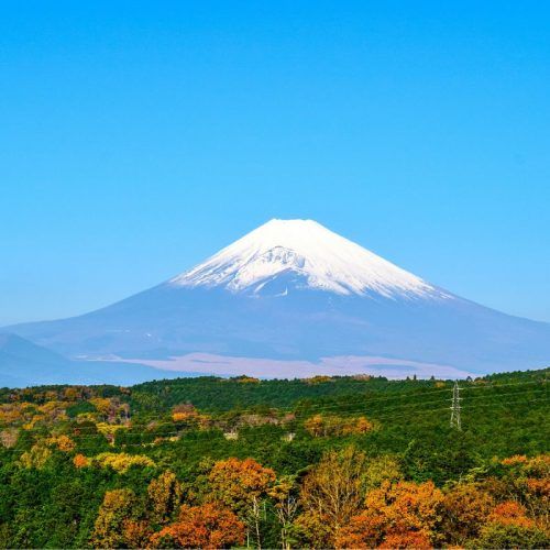 HK Express to launch direct flights to Shizuoka, Japan, from December 17