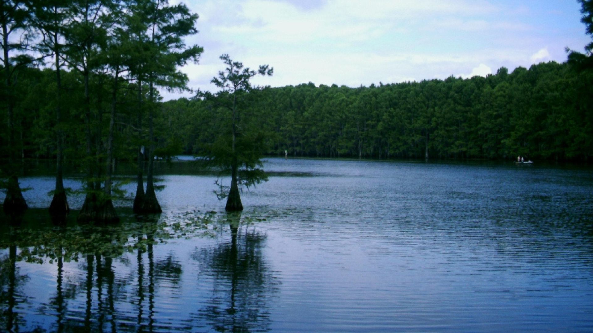 caddo lake true story