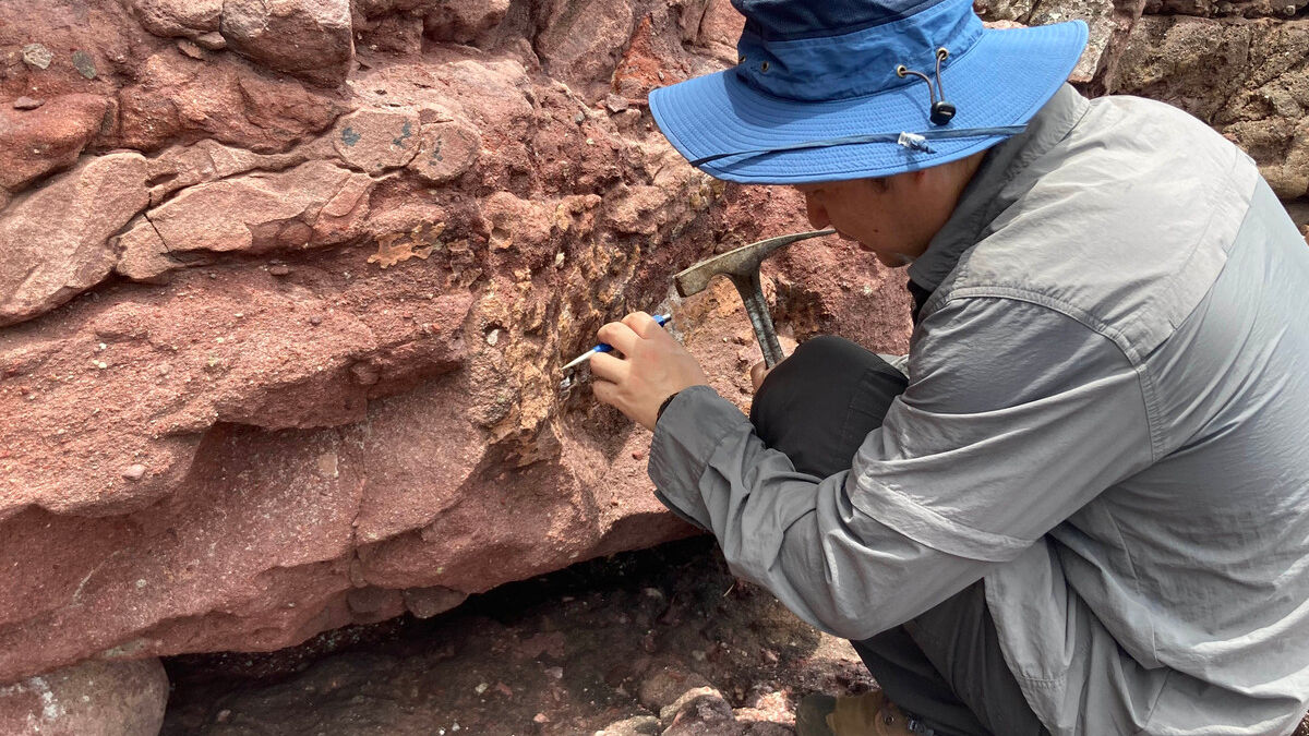 Dinosaur bone fossil discovered for the first time in Hong Kong