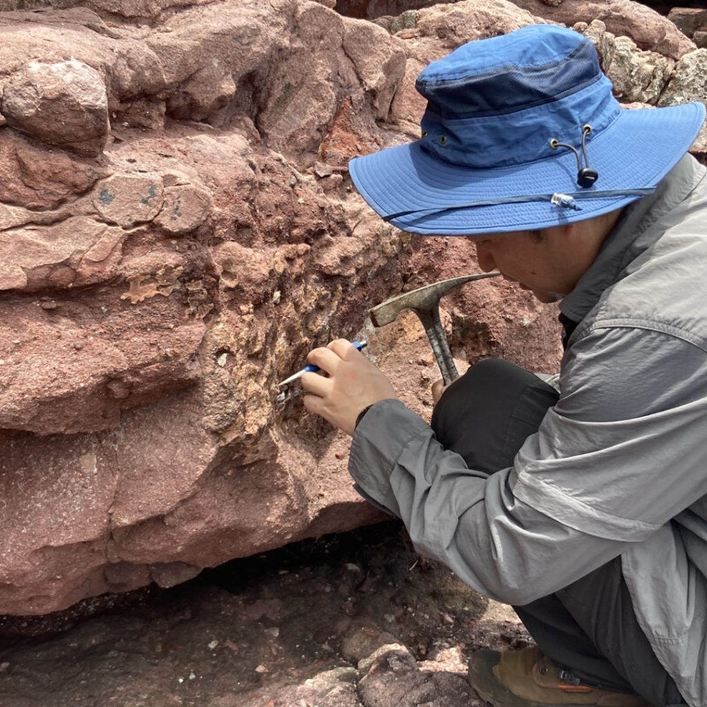 Dinosaur bone fossil discovered for the first time in Hong Kong