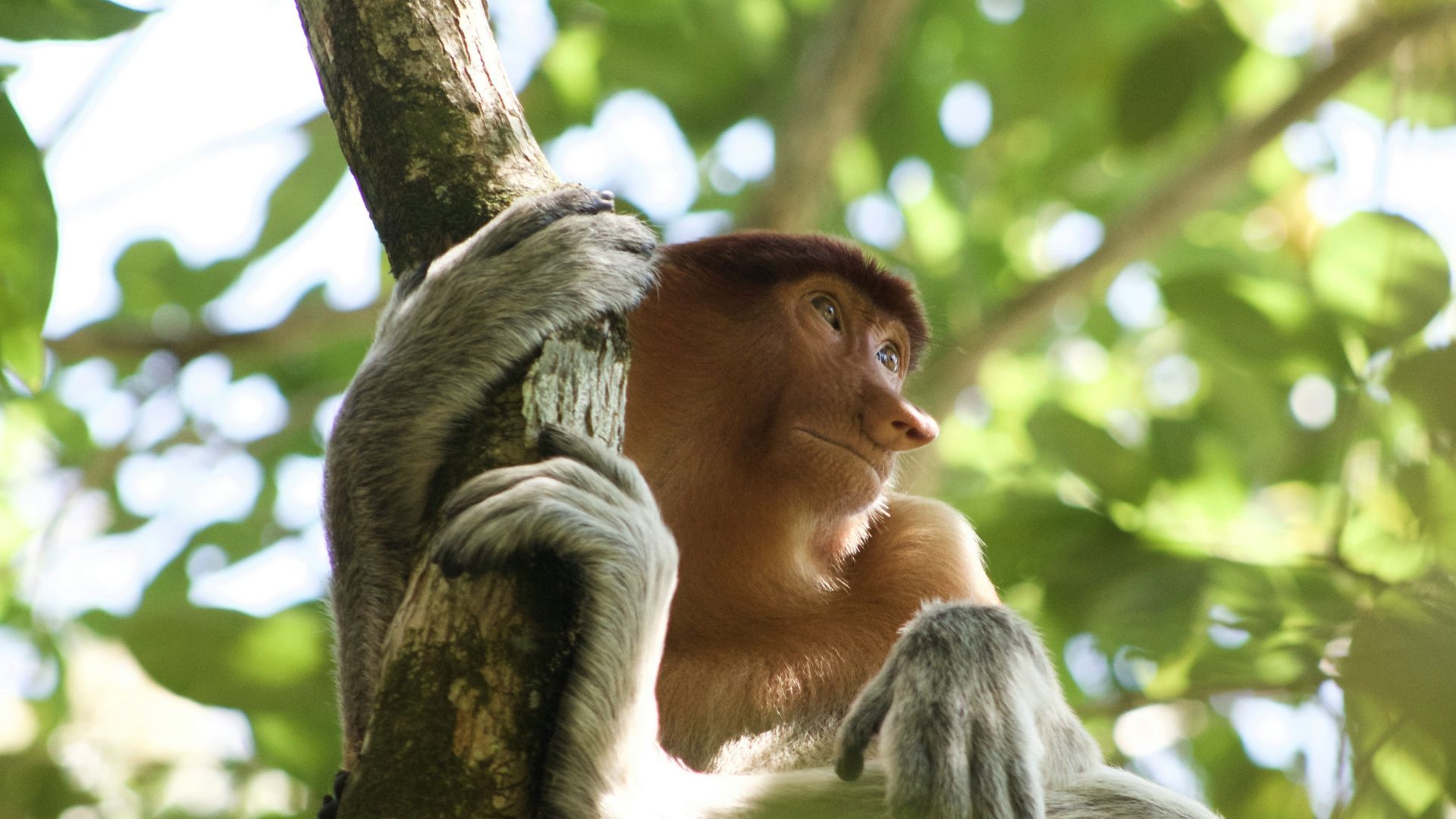 Bako National Park