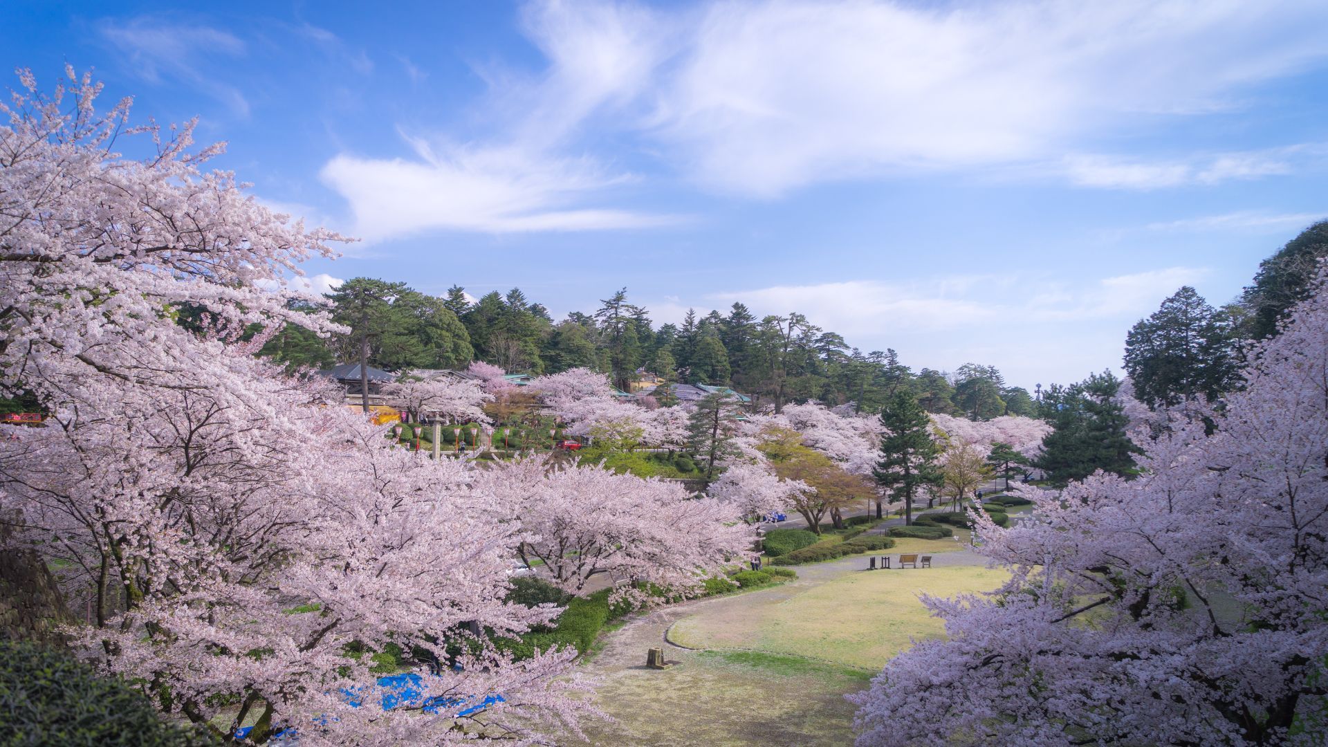 japan tourist guide