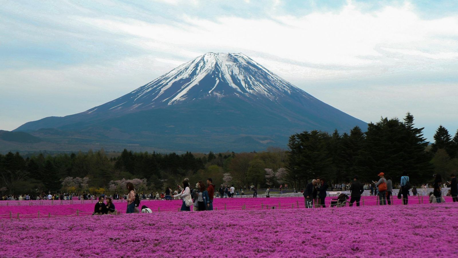 Khám Phá Hành Trình Độc Đáo Của Fly 88 - Thương Hiệu Đưa Đam Mê Bay Xa Và Phong Cách Sống Nổi Bật