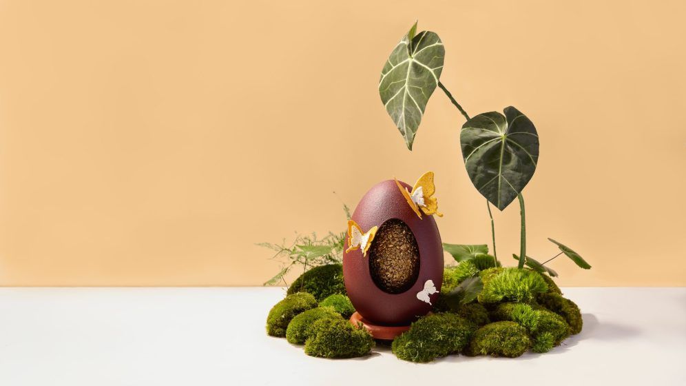 Кондитерская «Бабочка»