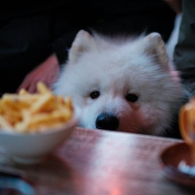 Forbes Korea releases list of most powerful Korean celebrities of 2024