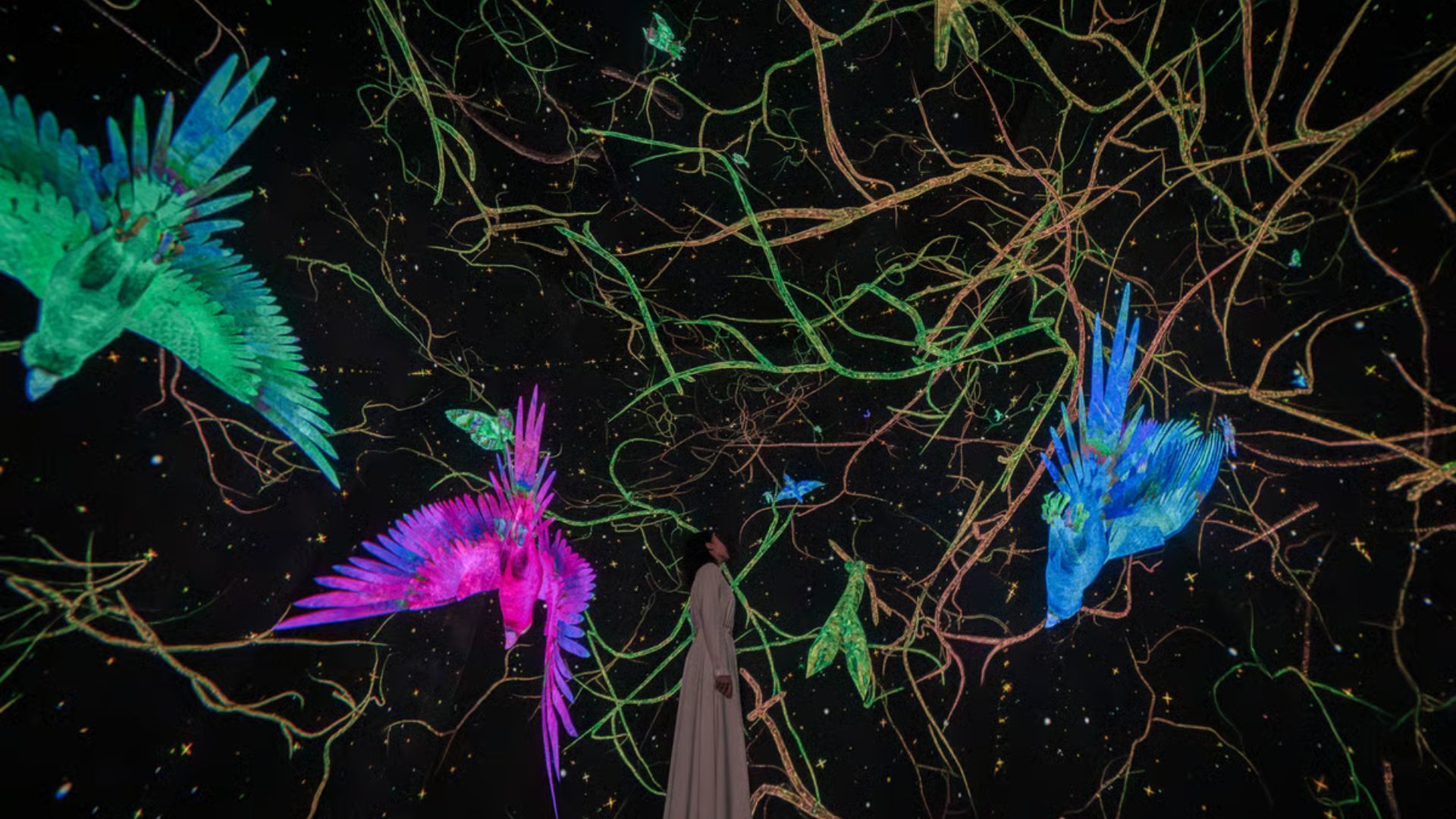 Tokyo, Osaka, or Kyoto: The best TeamLab to visit in Japan | LSA HK