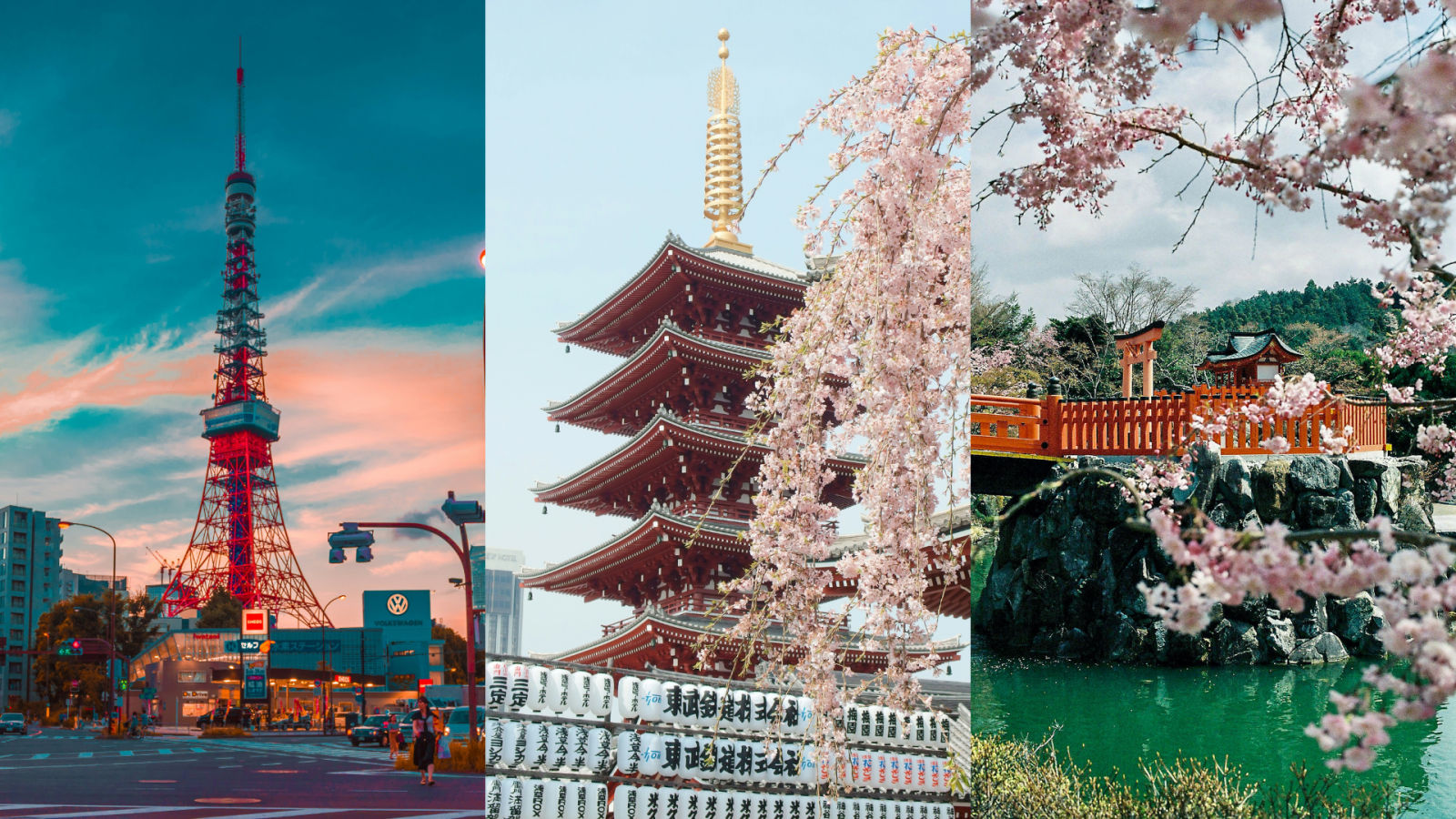 Japan visa fees increase 2026: Tourist visa prices rise from July