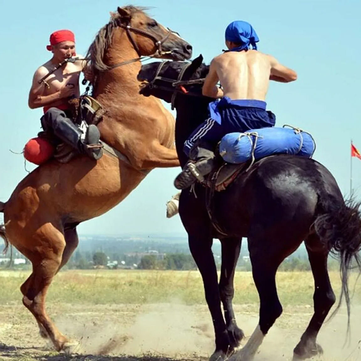 A guide to the World Nomad Games and the competitions that take place