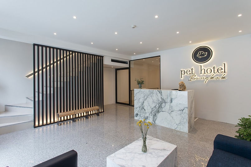 Bangkok's best pet hotels for a pawsome time Lifestyle Asia Bangkok