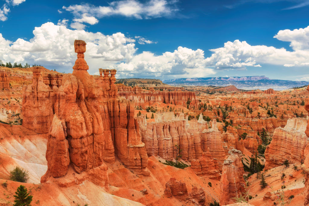 Google offers virtual park tours so you can go outside without going outside
