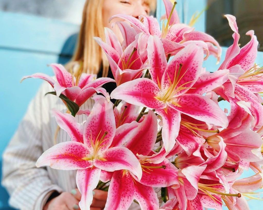 4 Instagram accounts to follow if you’re a garden geek or plants fanatic
