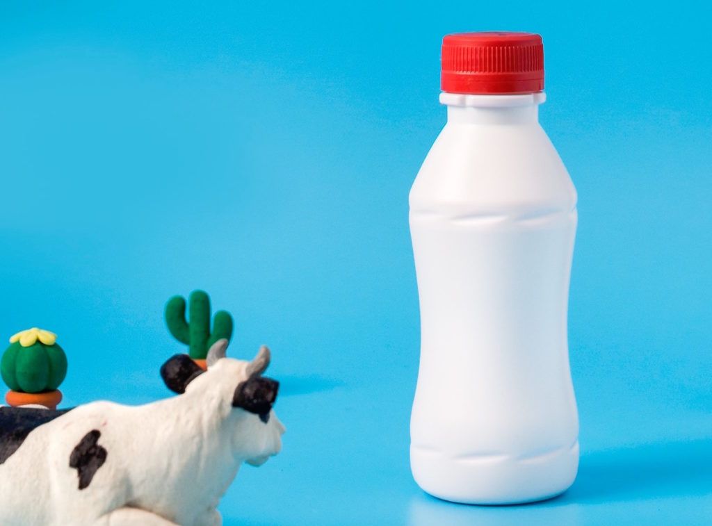 The hidden benefit of adding probiotics to your diet