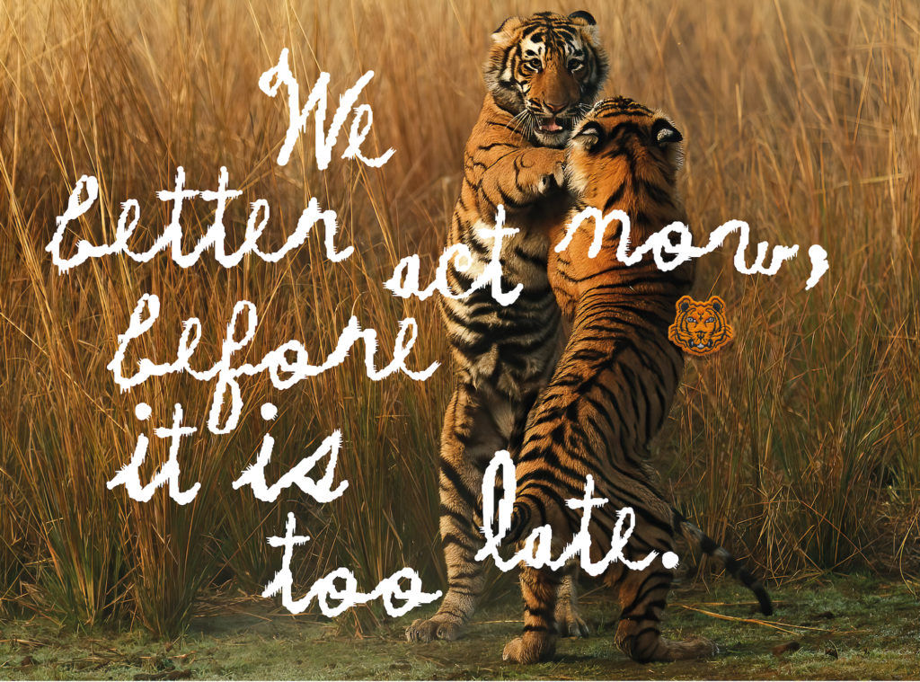 Kenzo collaborates with WWF for a new capsule collection to protect wild tigers