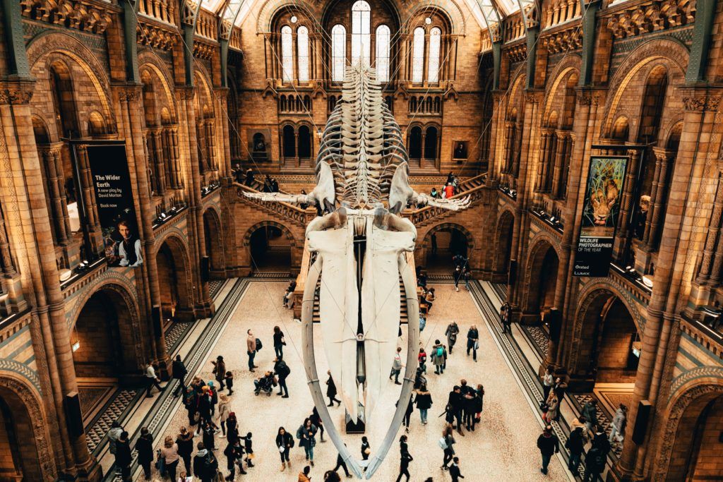 Will NFTs become the hottest must-haves in museum gift stores?