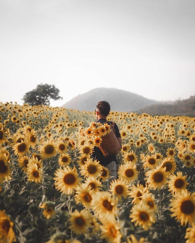 The most Instagrammable spots in Khao Yai