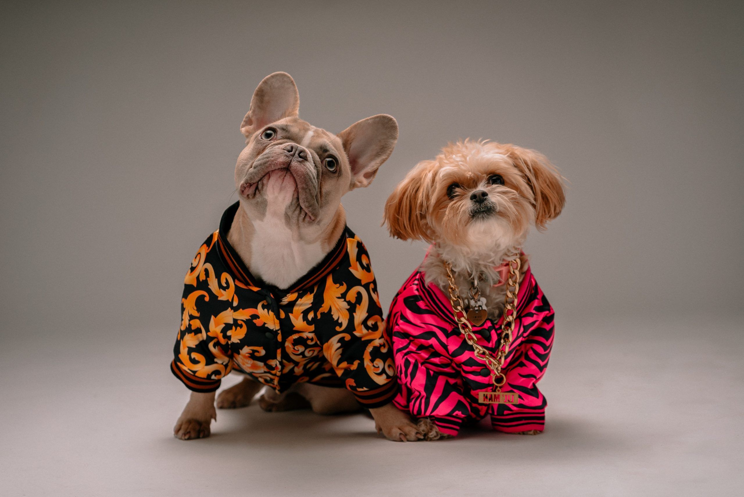 6 luxury pet accessories to spoil your pooch | Lifestyle Asia Bangkok
