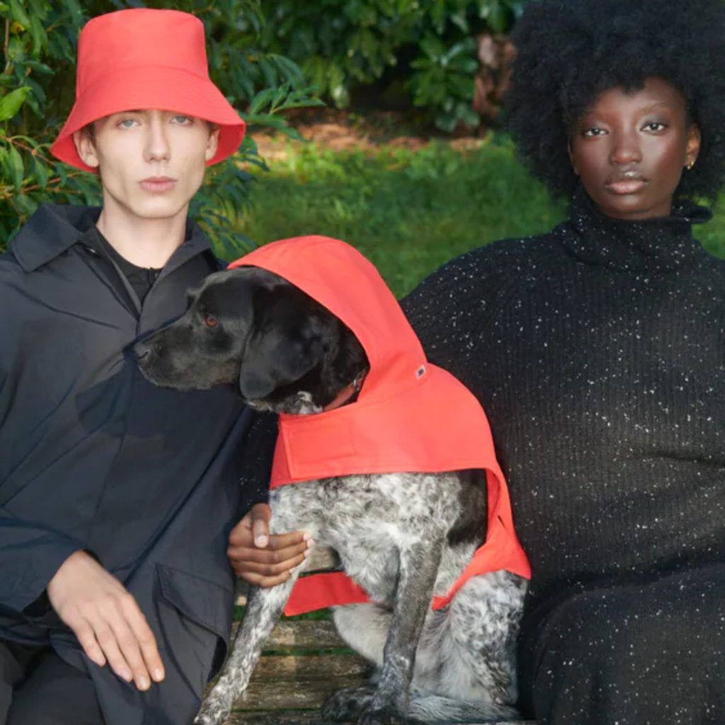 Zara launches a pet collection with matching outfits for dogs and humans