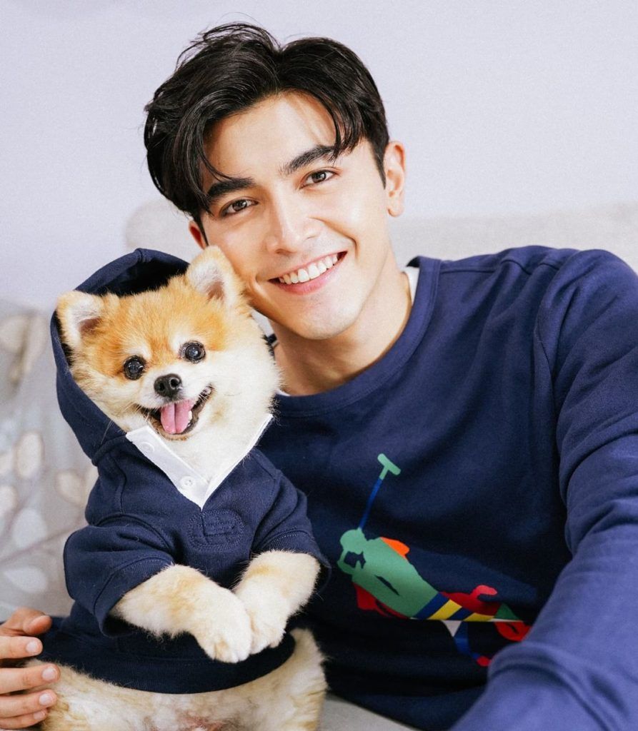 6 pet accessories collections to pamper your best pal