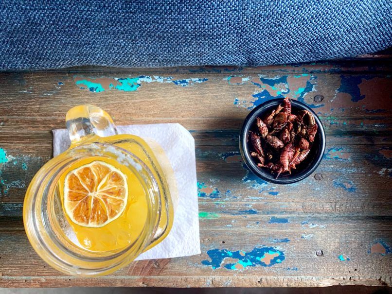 crickets wine pairing insects