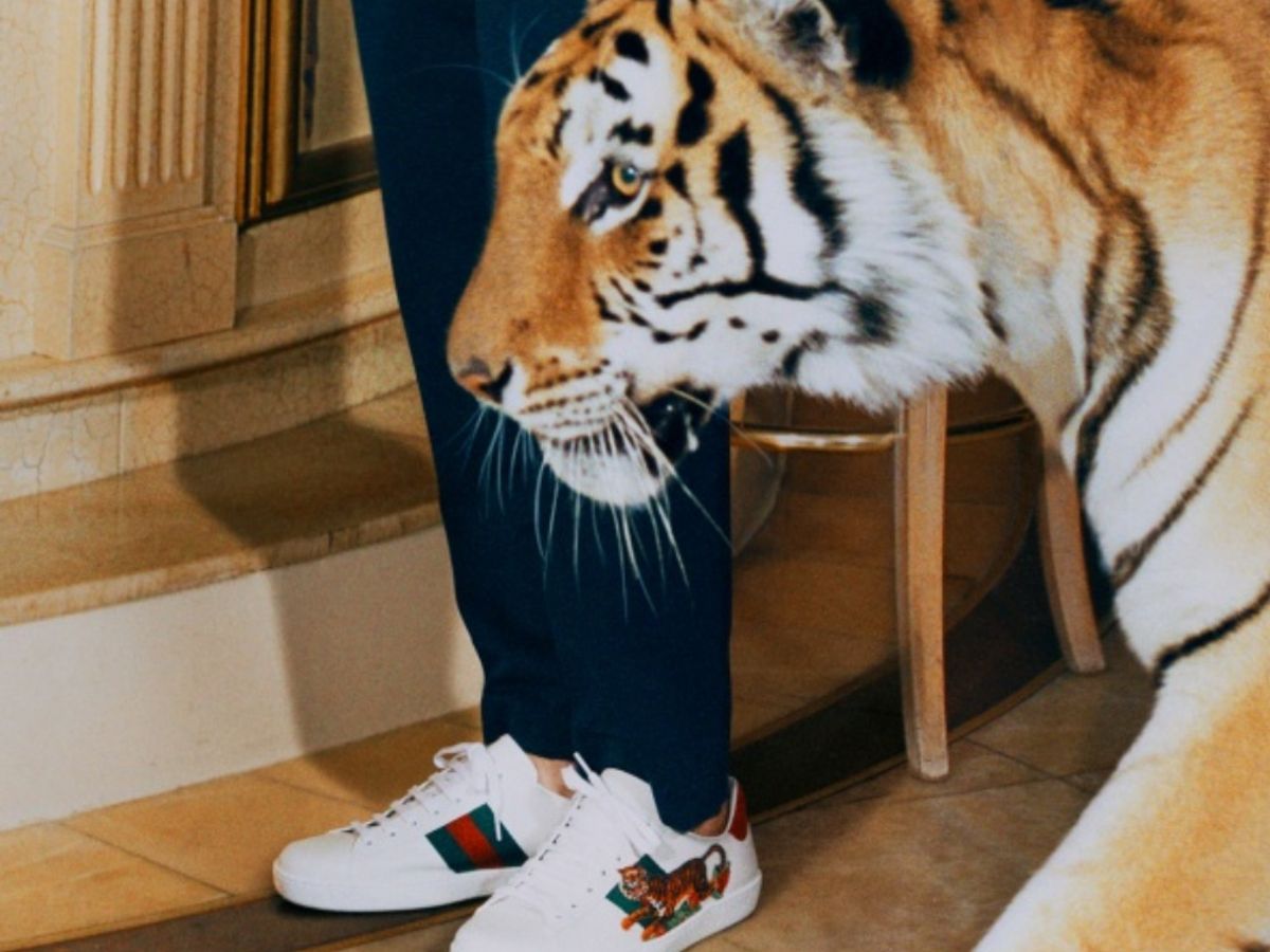 Etableret teori Bage fremstille Year of the Tiger 2022: The best sneakers to shop now