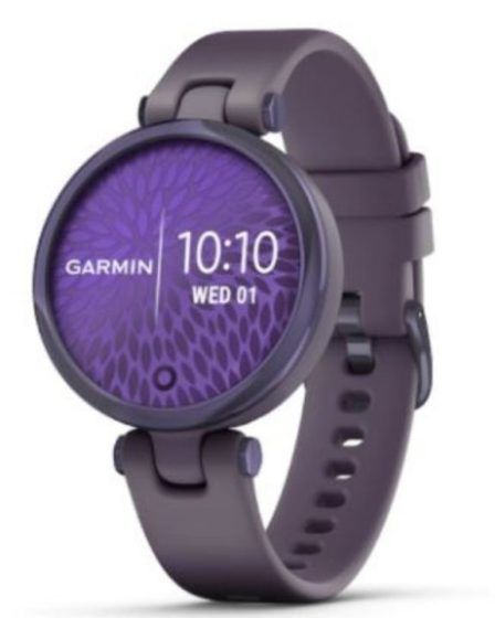 Garmin Smartwatch 