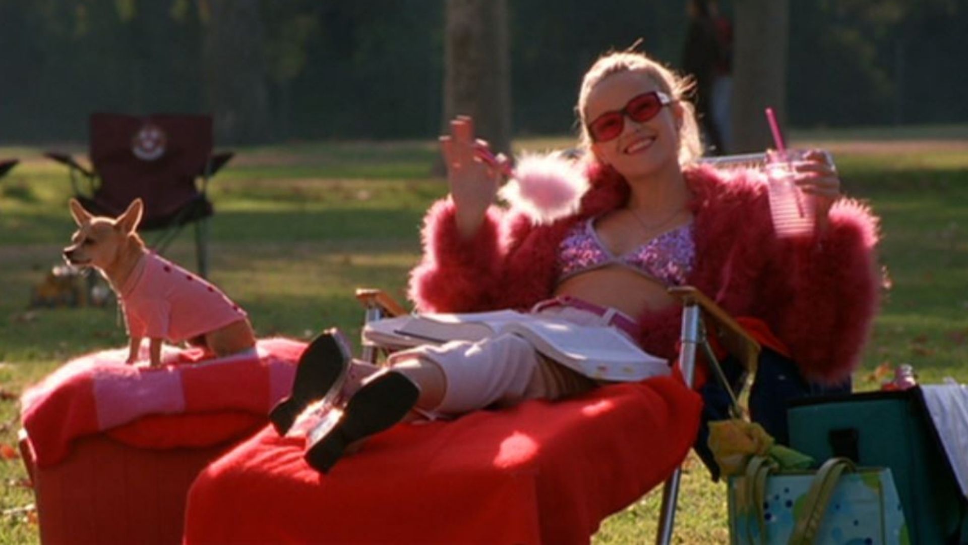 Movies to watch on International Women's Day: Legally Blonde