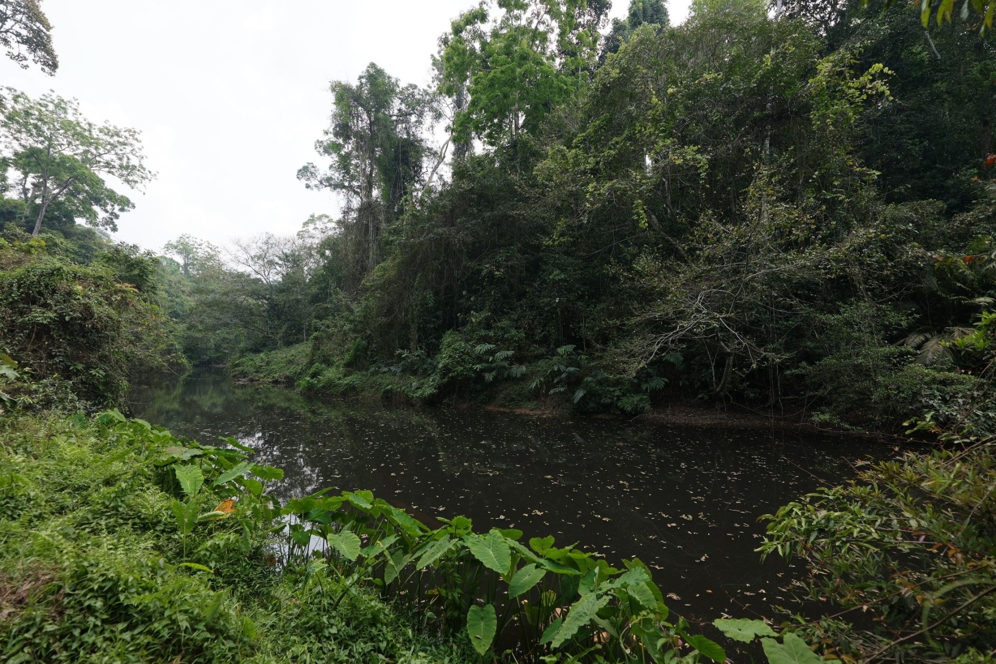 5 reasons to visit the Thai-German Friendship Trail in Khao Yai