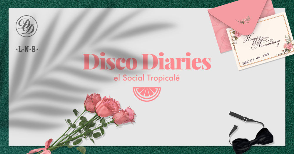 Disco Diaries 
