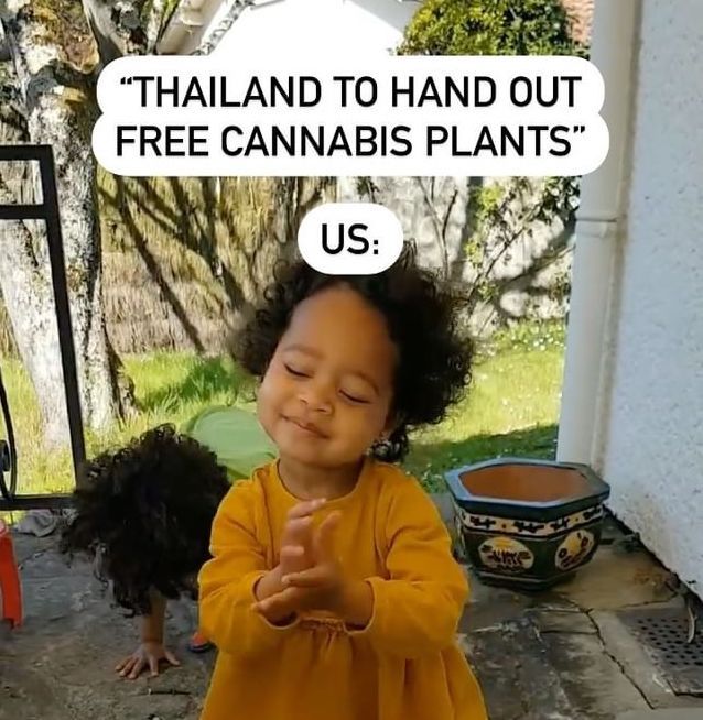 This month in memes: May