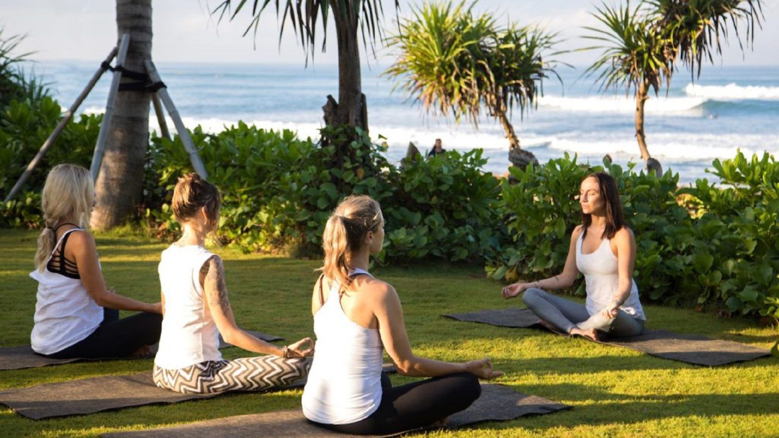 YOGA RETREATS  Wholesome Alchemy