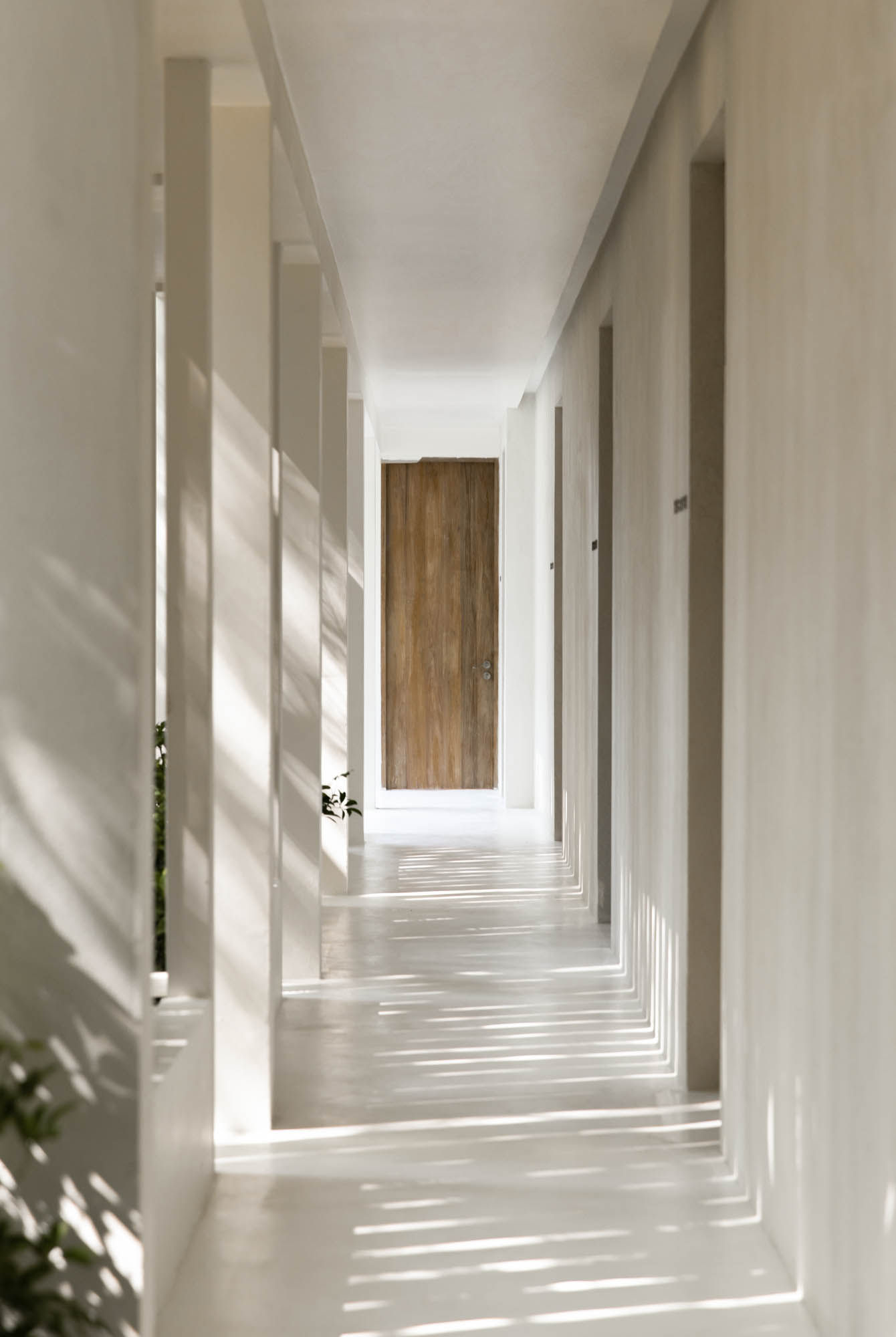 Spa review White Wood Green Spa & Wellness, Bangkok