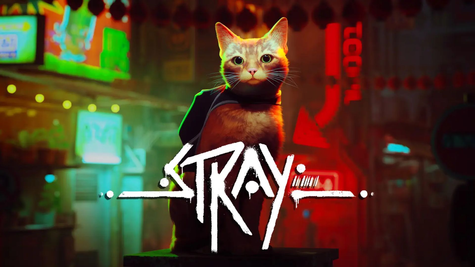 July video games: Stray