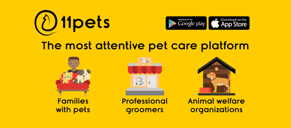 To keep track of your pet’s appointments