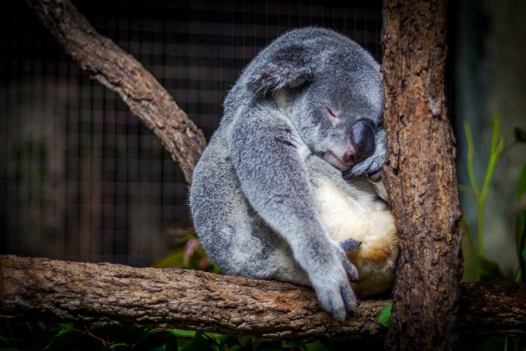 Real Talk: Is napping bad for you? A new study looks into it