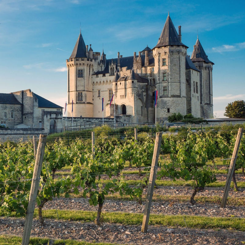 How to find the best wines from the Loire valley