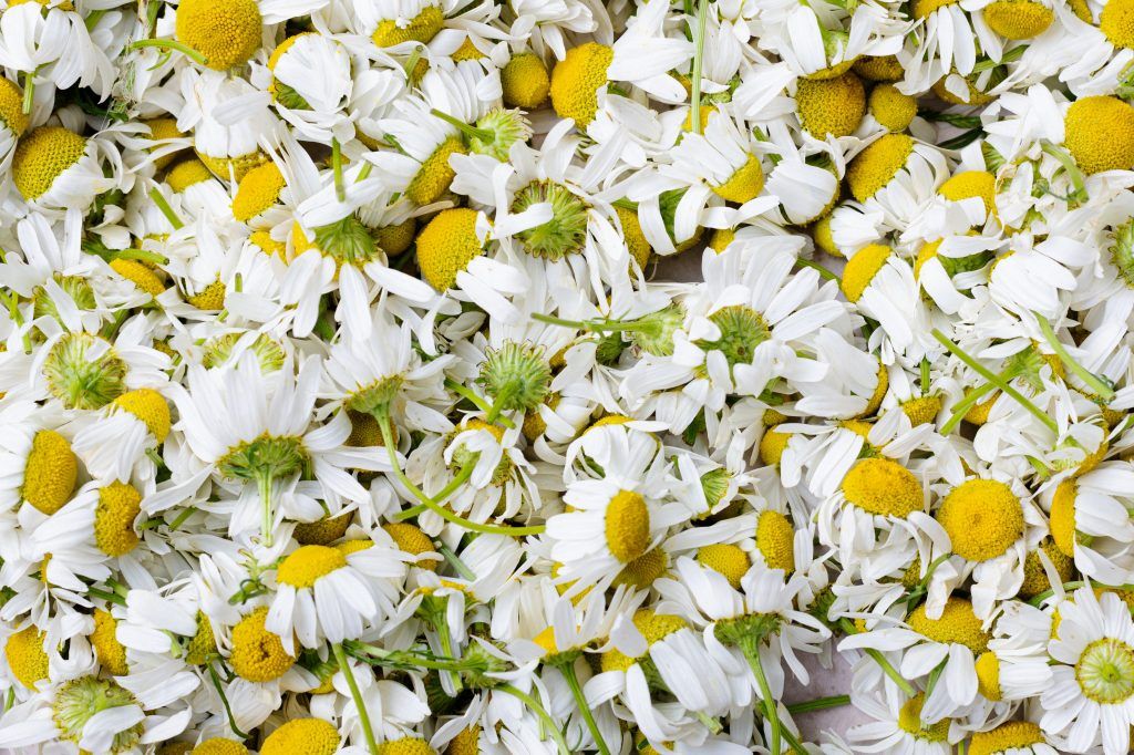 Natural remedies for anxiety that actually work