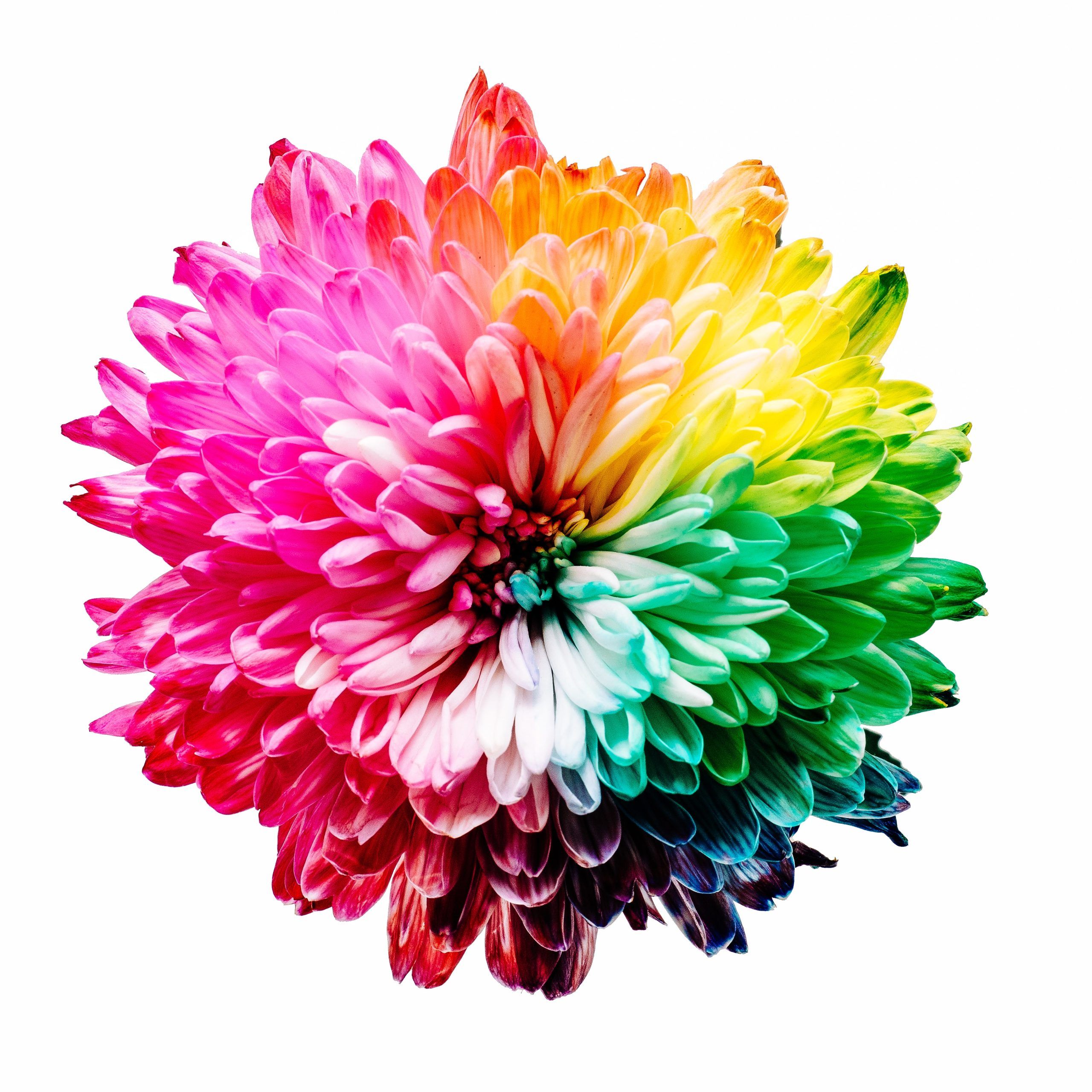 Is Your Birthday December 20Th? Discover Your Zodiac Power! - g7hstdw