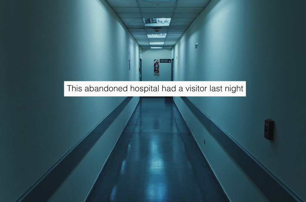 Subreddit of the Week: Oddly Terrifying