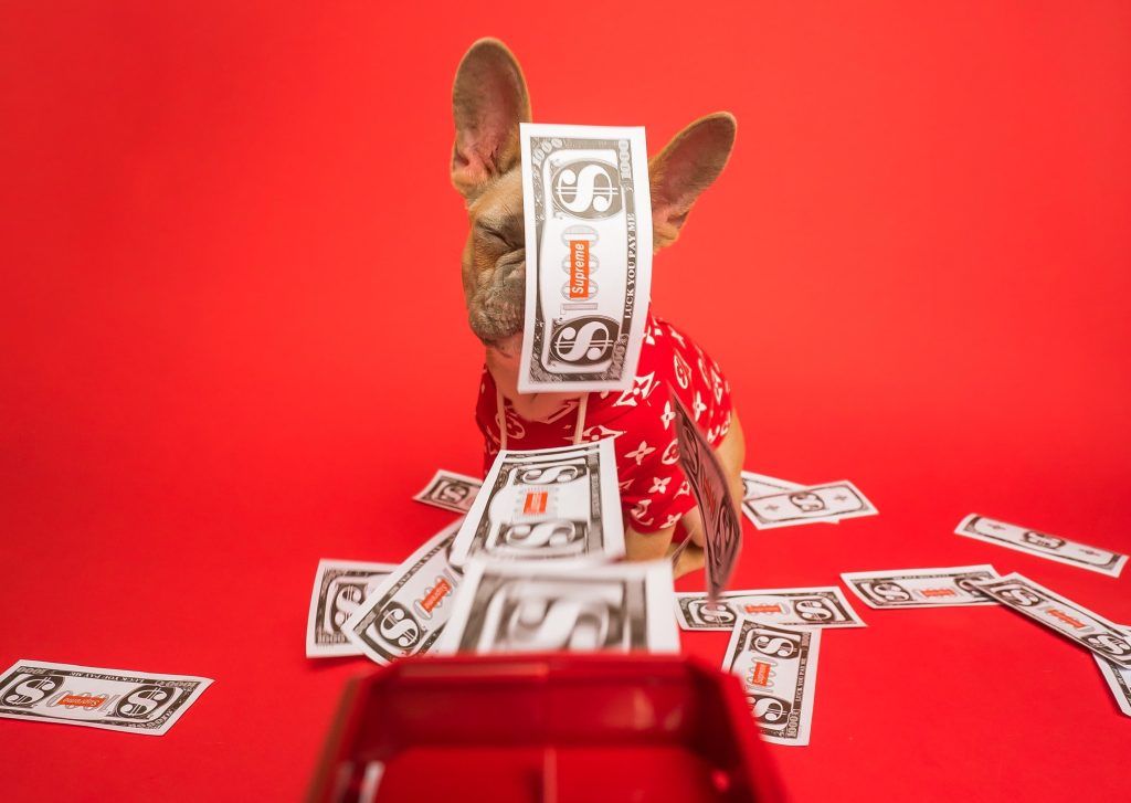 Your money horoscope for 2023