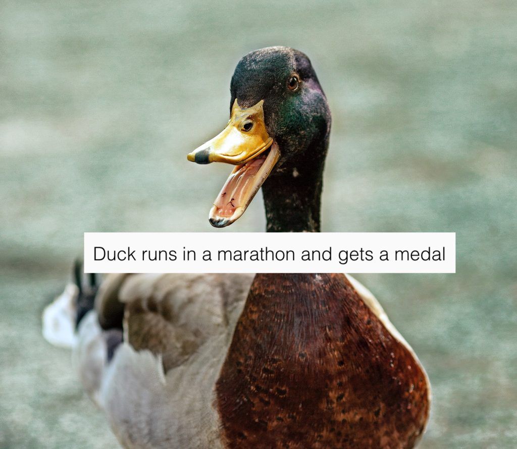 Subreddit of the Week: Made Me Smile
