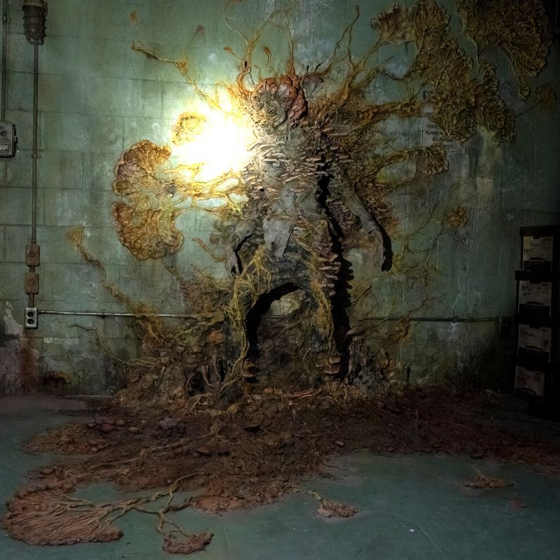 Cordyceps, the origin of the virus in ‘The Last of Us’, is actually real