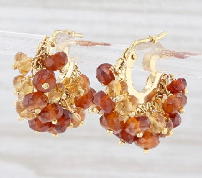 Jewelry Authority Hessonite Hoop earrings