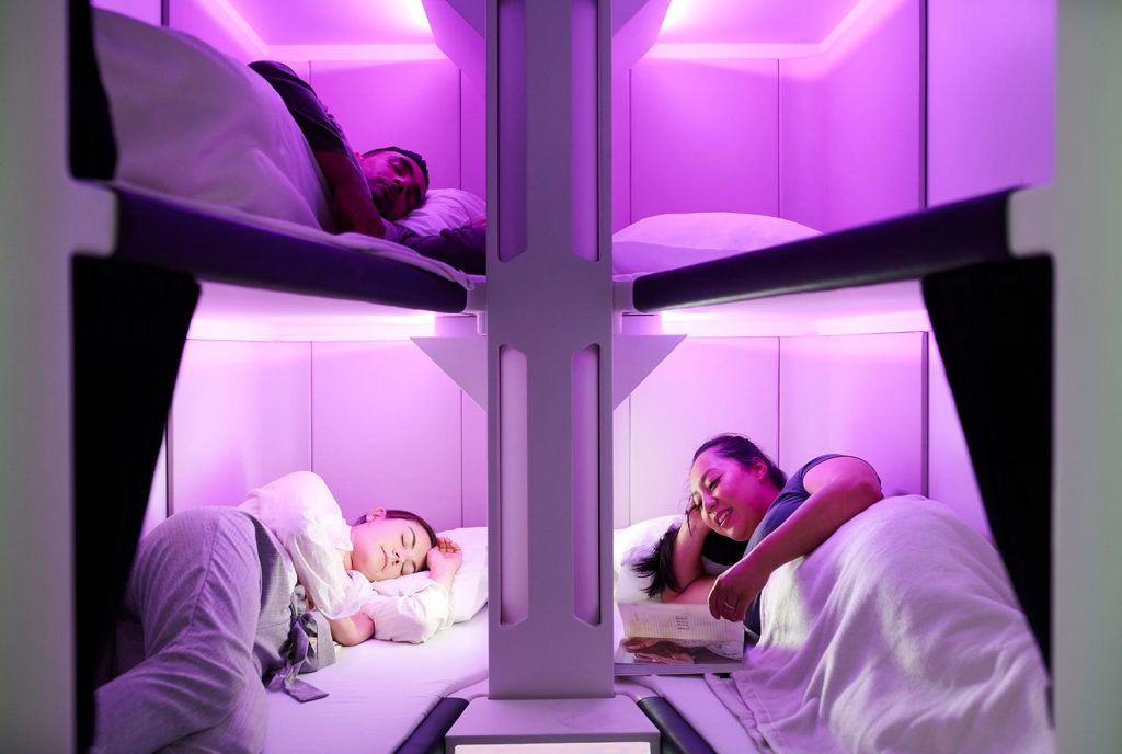 Air New Zealand unveils bunk beds for economy flyers